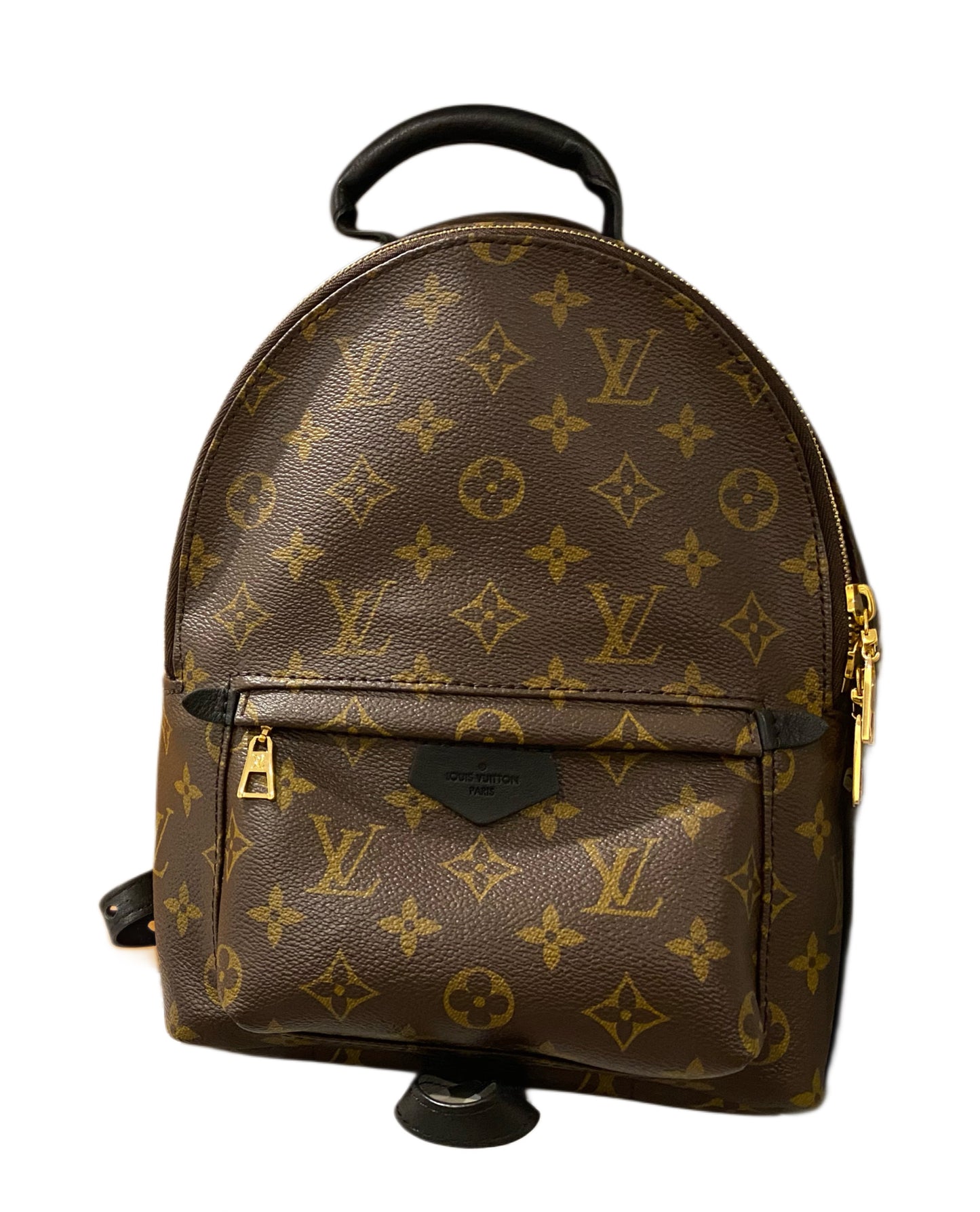 LOUIS VUITTON Monogram Palm Springs Backpack